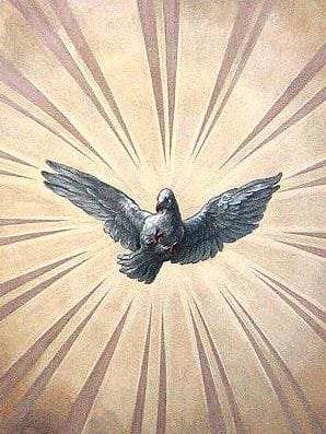 The Catholic Charismatic Renewal (II)